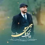 دانلود آهنگ لری رضا محمدی زی بیو