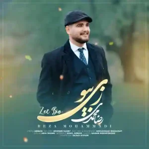 دانلود آهنگ لری رضا محمدی زی بیو