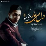 دانلود آهنگ لری عقیل مکرم دل بیعار