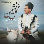 دانلود آهنگ لری میلاد حاجی پور گل نشمین