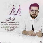 دانلود آهنگ لری محمد مستان یار یار