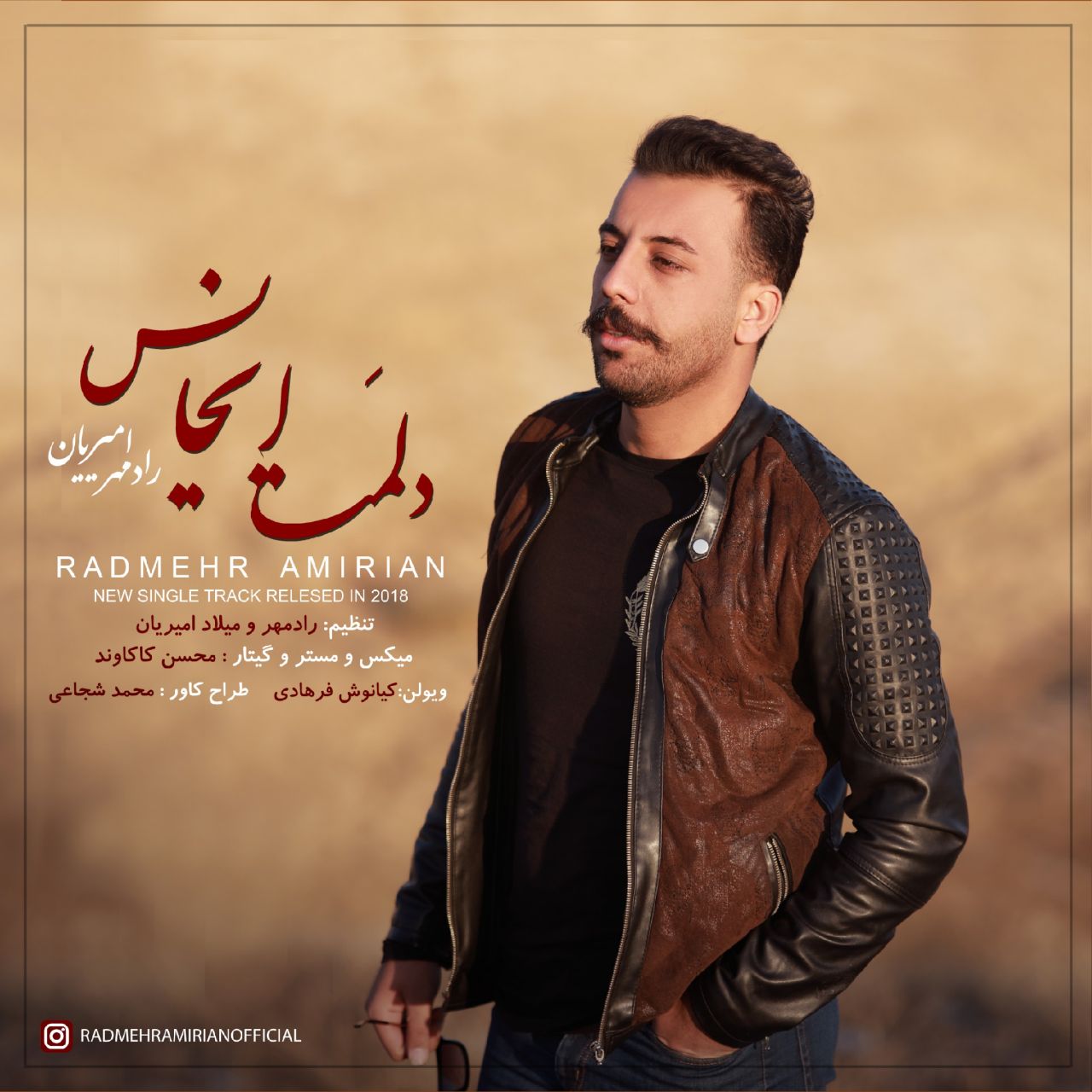 دانلود آهنگ لری رادمهر امیریان دلمت ایخاس