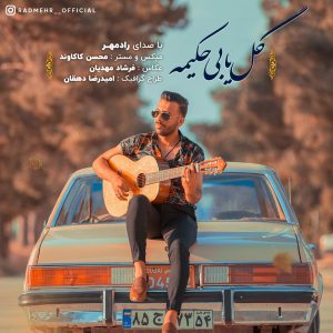 دانلود آهنگ لری رادمهر امیریان گل یا بی حکیمه