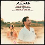 دانلود آهنگ لری مهدی مرادی شاه پسند