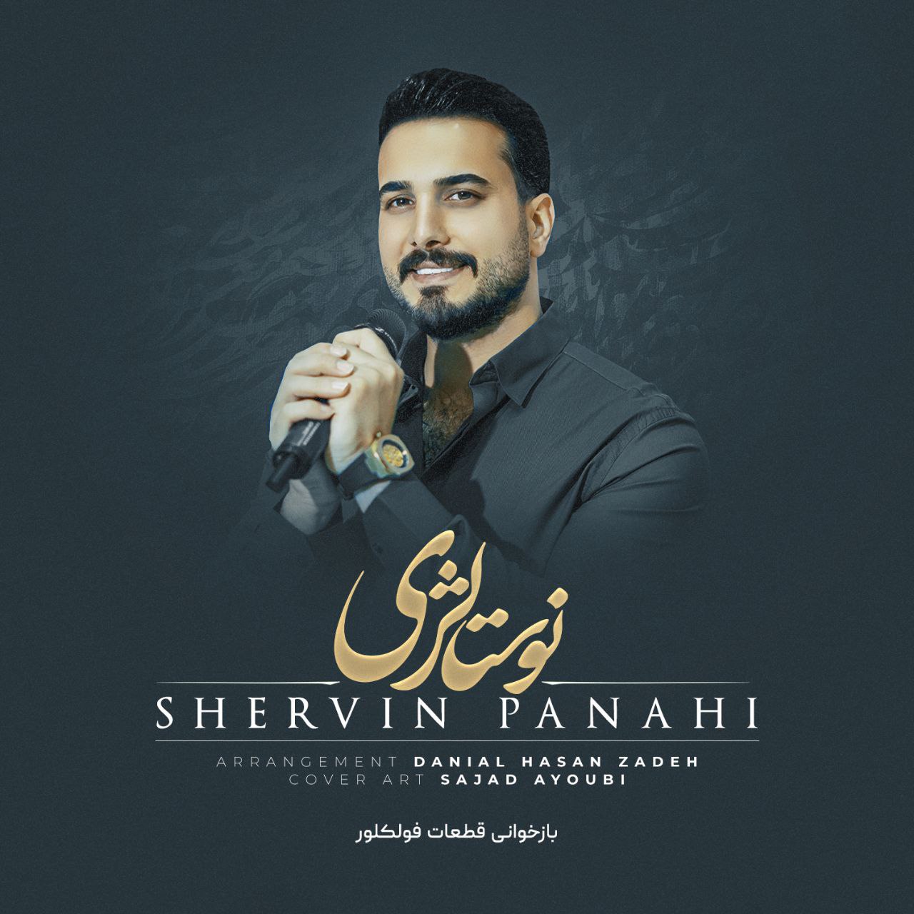 دانلود آهنگ لری شروین پناهی نوستالژی