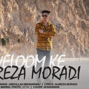 دانلود آهنگ لری علیرضا مرادی ولم که